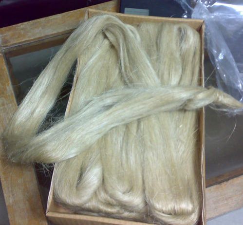 Sisal Fibers