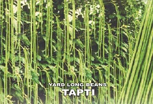 Yard Long Beans