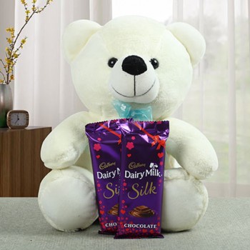 cute teddy bear with chocolate