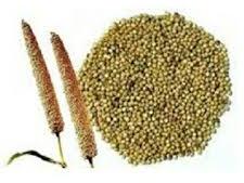 Organic Pearl Millet Seeds, Color : GREEN
