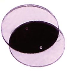 Polarisation Demonstration Discs