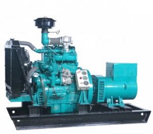 Generating set natural gas