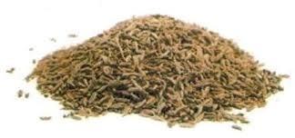 Cumin Seed