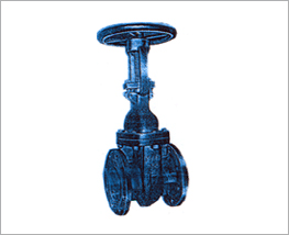 Gate Valves