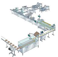 Secondary Packaging Automation Line