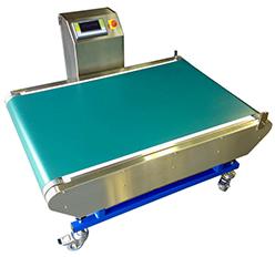 Weighing conveyor