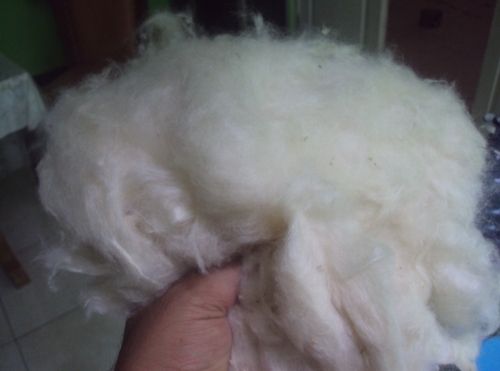 Fine Quality Kapok Fibre