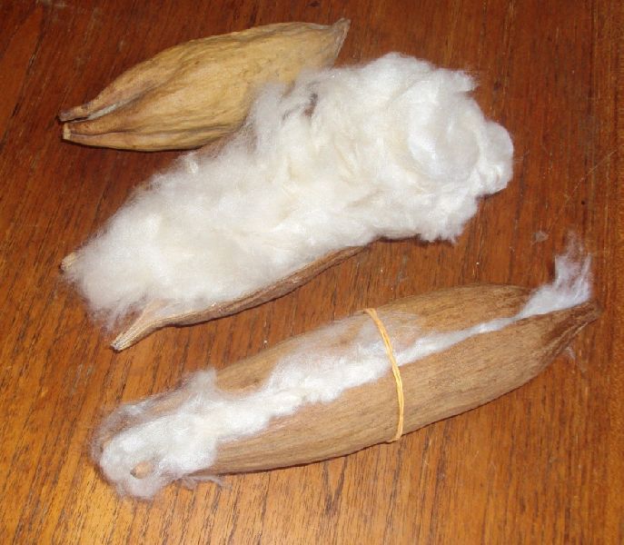 Superfine Kapok Fibre