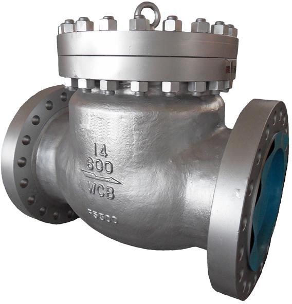 Bolted Cover Swing Check Valve