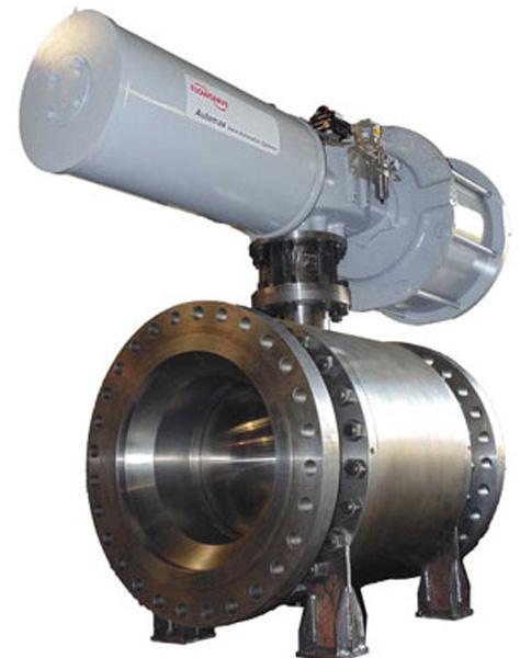 Trunnion Mounted Ball Valve