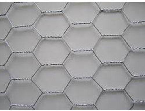 Electroplated Hexagonal Wire Netting