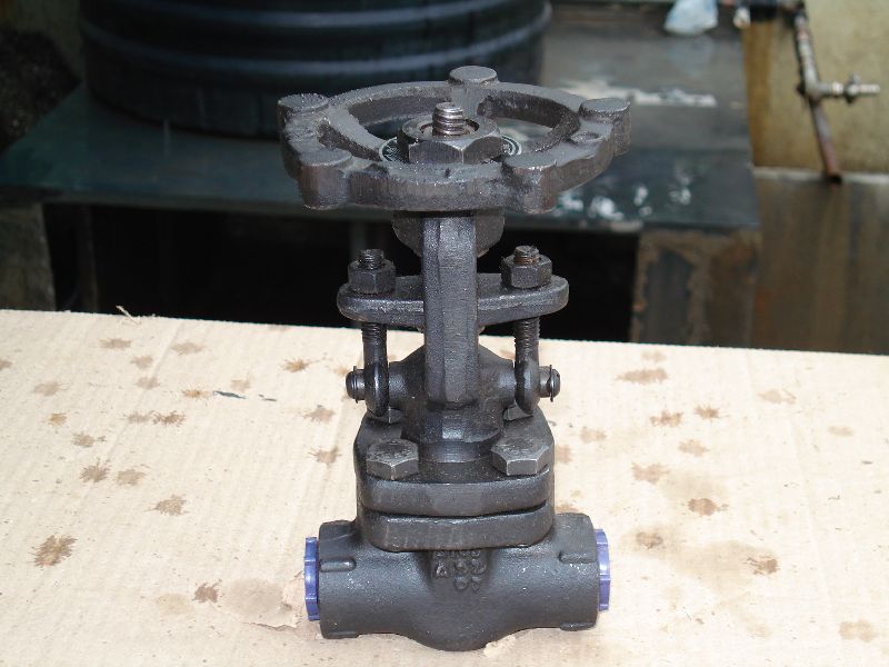 forged gate valves