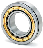 Cylindrical Roller Bearings