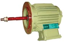 Cooling Tower Motors