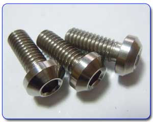 Titanium Fasteners