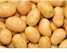 Badshah Potato