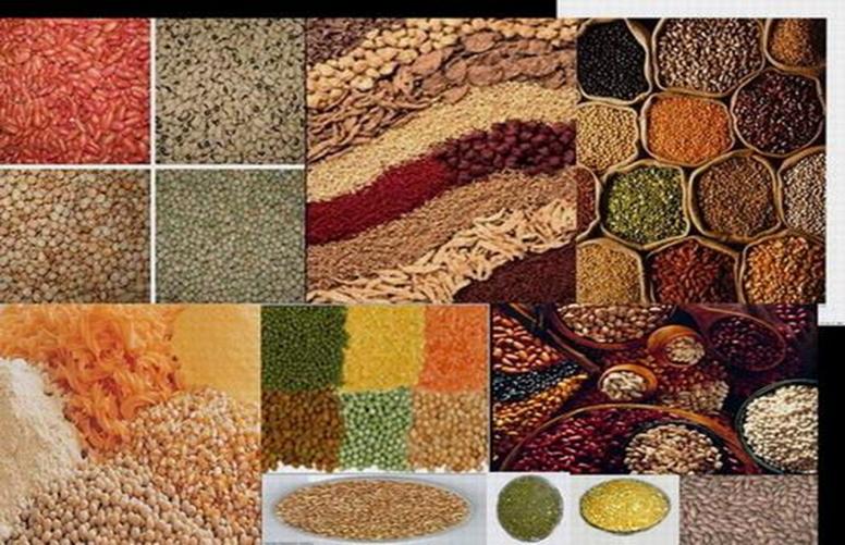 Spices, Grain, Pulses.