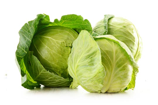 cabbage