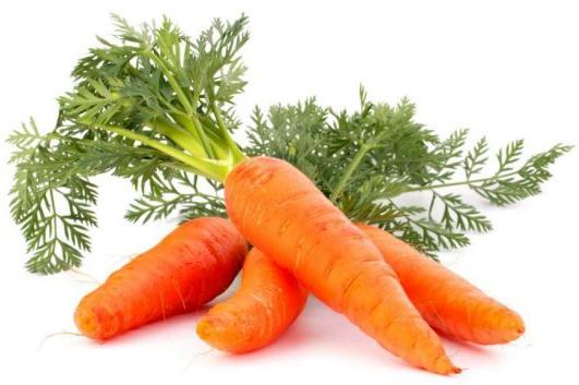 Organic Fresh Carrots