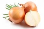 fresh onion