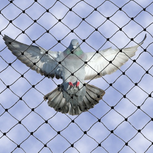 anti bird net