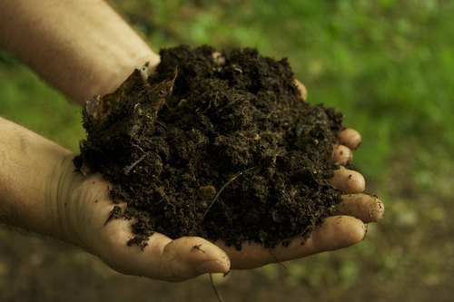 Organic fertilizer, for Agriculture, Purity : 100%