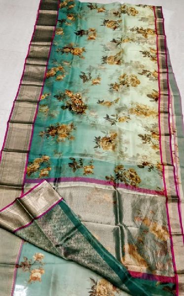 pure organza saree with digital prints and Kanchi boders by mangala ...
