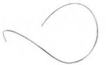 Reverse Curve Arch Wire