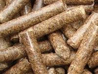 BBQ Sawdust Briquettes Charcoal/Hardwood Charcoal/Wood Pellets/Plywood/Teak Wood