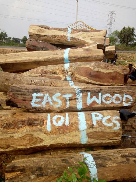 quality Kosso wood for sale