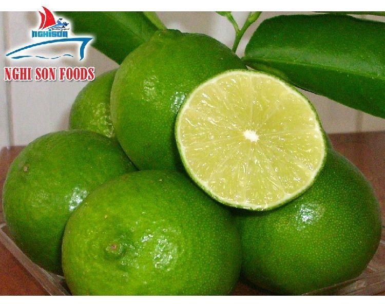 SEEDLESS LIME