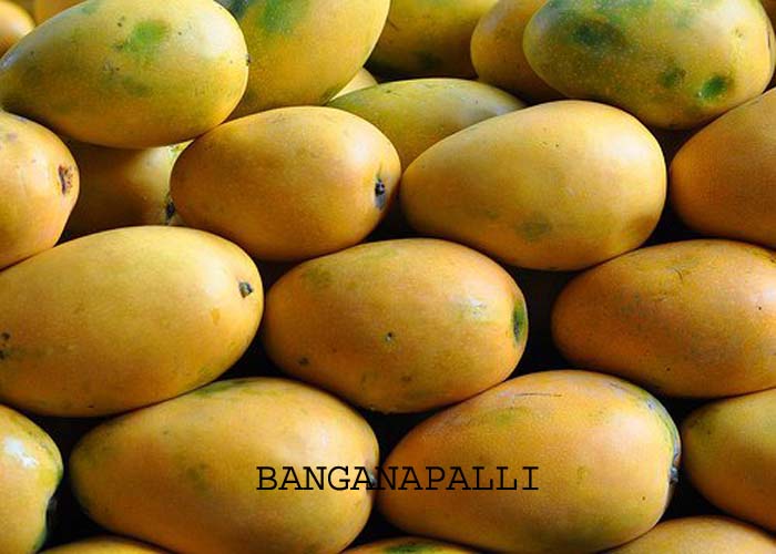 Organic Fresh Banganapalli Mango, Color : Yellow