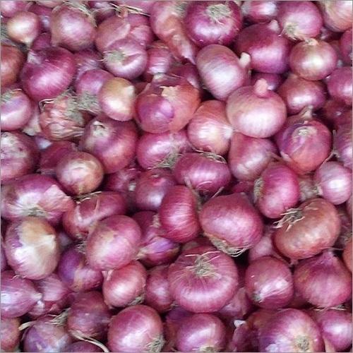India Cool Fresh Red Onion, For Food, Net Bag