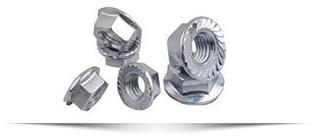 Stainless Steel Nuts