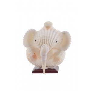 Sea Shell Ganesh