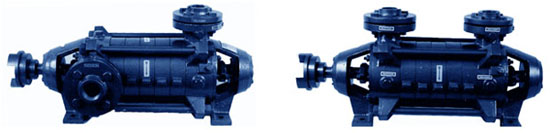 CENTRIFUGAL MULTISTAGE PUMPS RKB