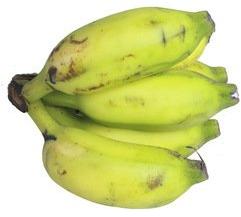 Robusta Banana In Tamil Name