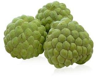 Custard Apple