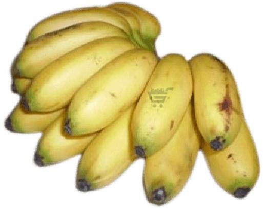 Chakkarakeli Banana Plant