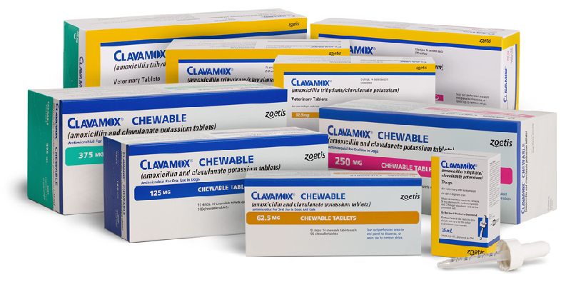 amoxicillin and clavulanate tablets