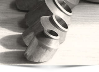 Stainless Steel Latrolet Fittings