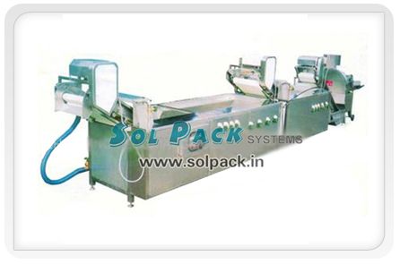 Continuous Vegetable Washing Process
