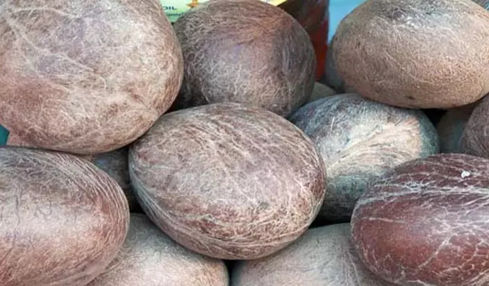 Dry Copra Coconut, Packaging Type : Sack Bag