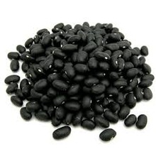 Black Butter Beans, Style : Fresh