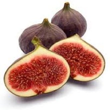 Indian Figs, Color : Pale Green