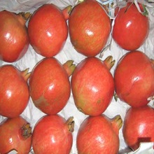 Pomegranate, Variety : Bhagwa