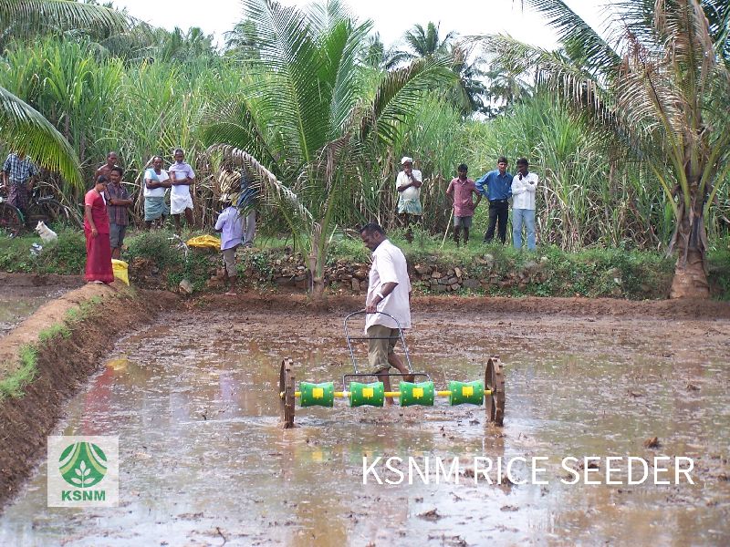8 Row rice planting machine