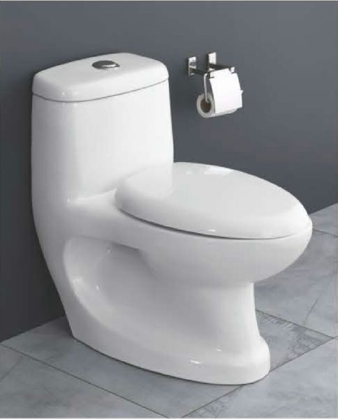 Classic One Piece Water Closet