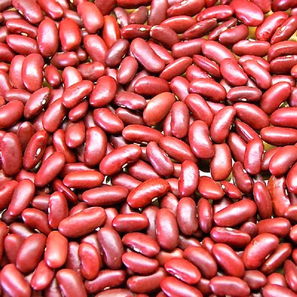 Organic Red Kidney Beans, Feature : Rich In Taste