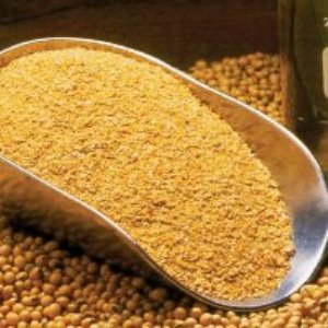 soybean meal